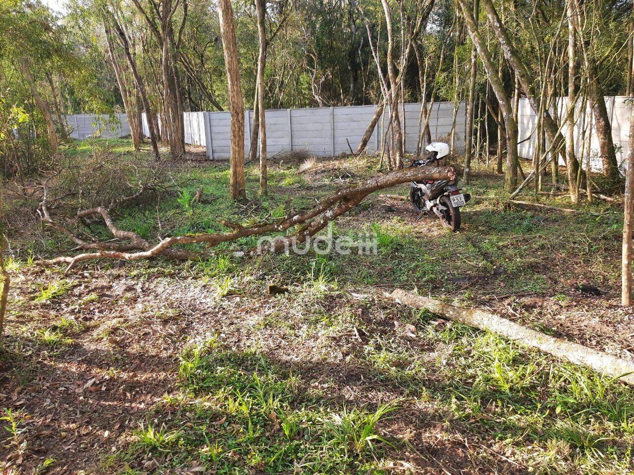 Terreno à venda em Parque das Nascentes, Pinhais - foto 5