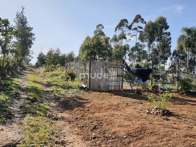 Fazenda, sítio ou chácara 2 quartos à venda em Centro, Campo Magro - foto 6