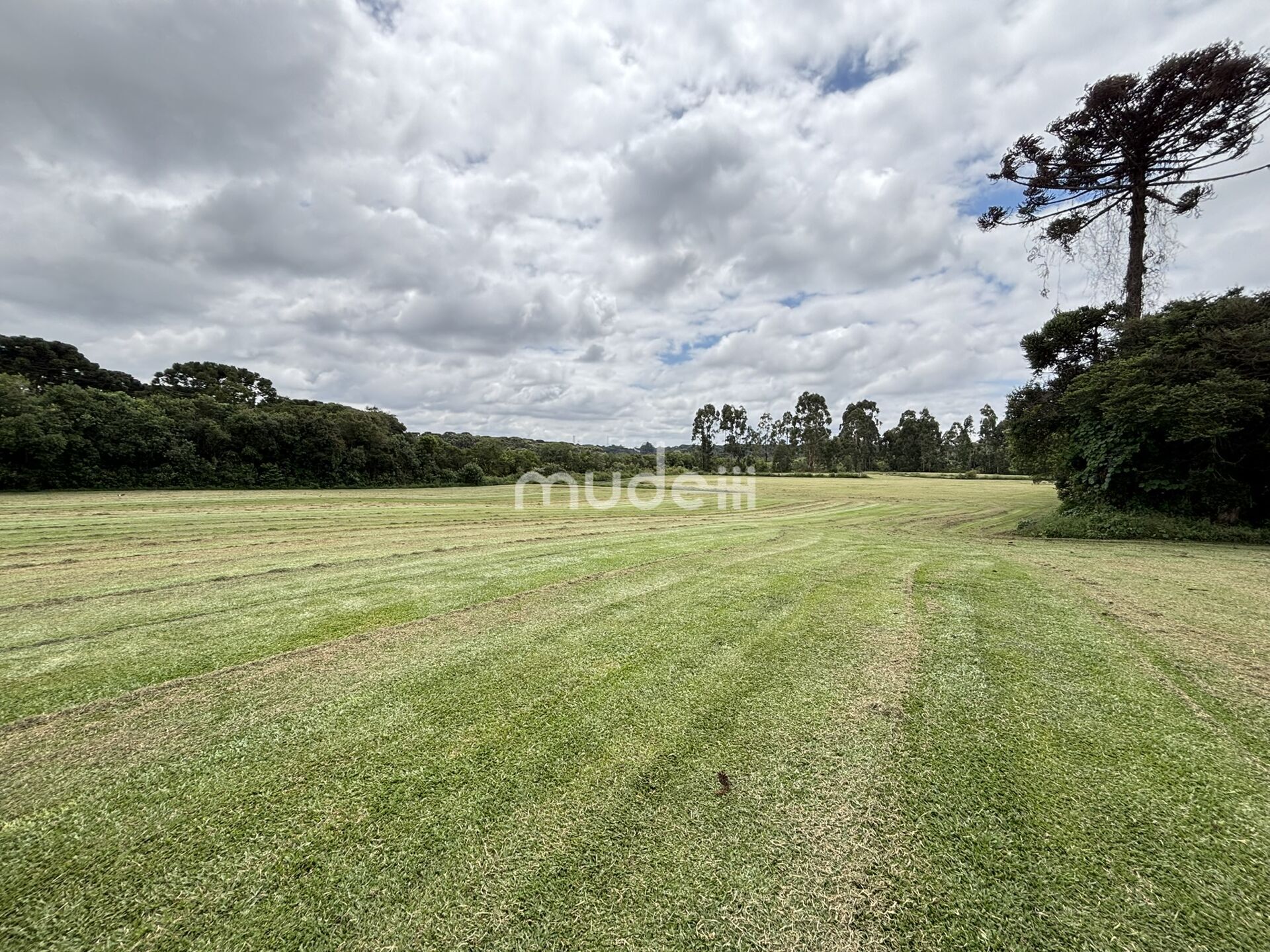 Terreno à venda em Centro, São José dos Pinhais - foto 7