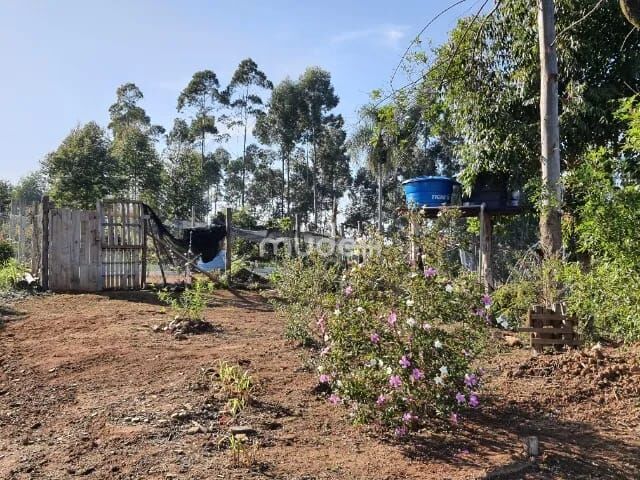Fazenda, sítio ou chácara 2 quartos à venda em Centro, Campo Magro - foto 7