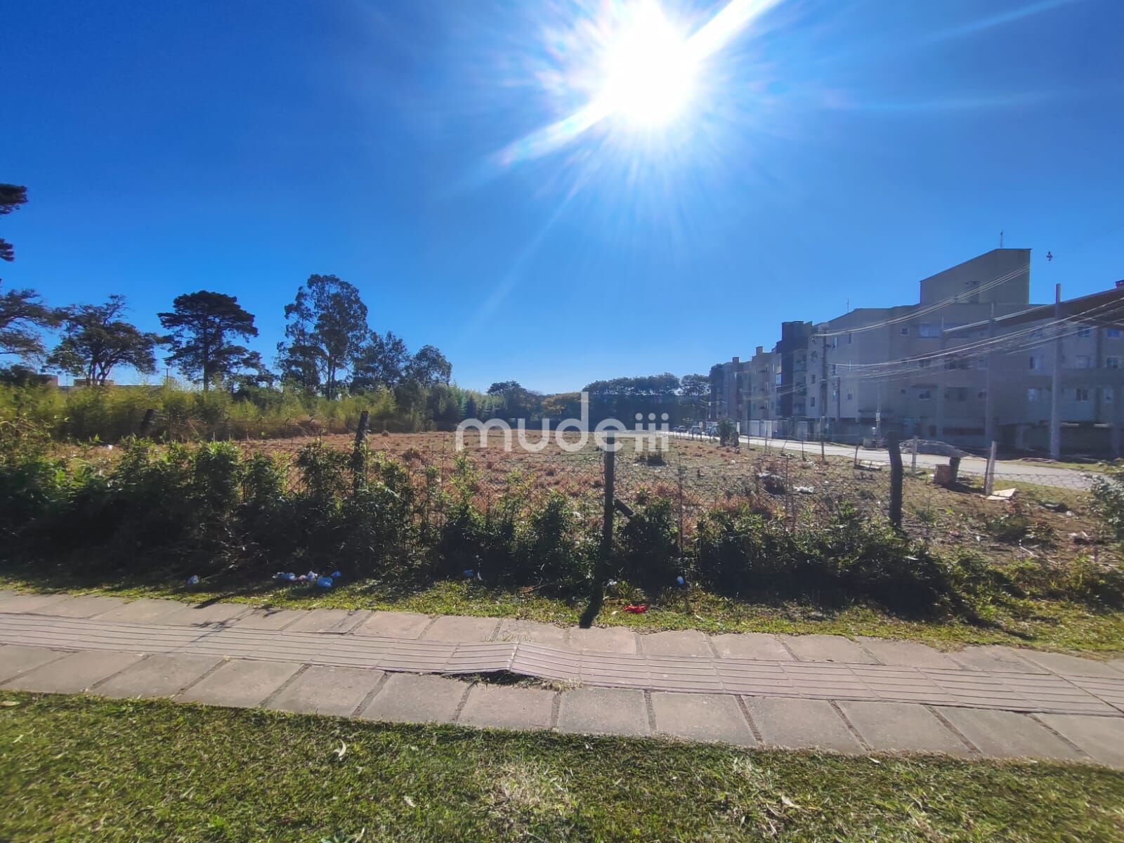 Terreno para alugar em Iná, São José dos Pinhais - foto 8