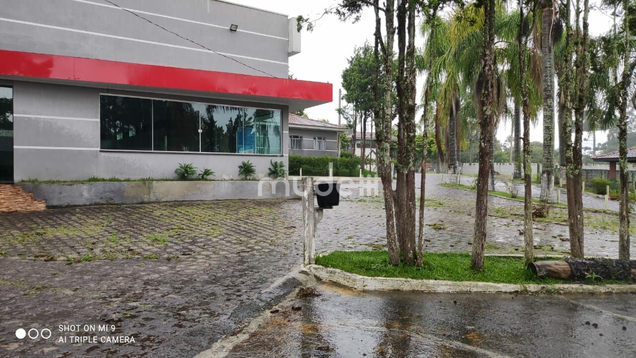 Fazenda, sítio ou chácara 4 quartos à venda em Roça Velha, São José dos Pinhais - foto 8