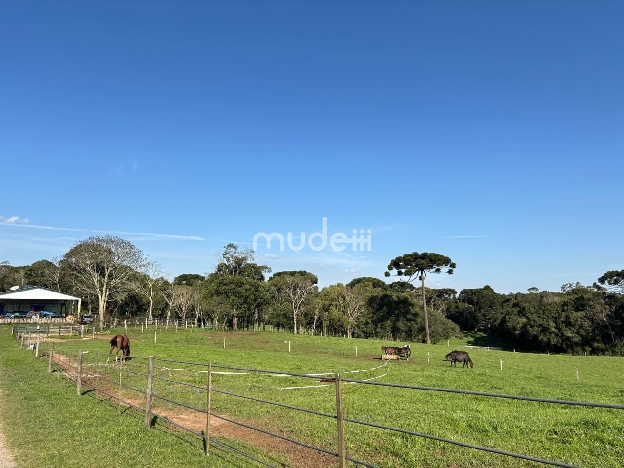 Fazenda, sítio ou chácara 4 quartos à venda em Campestre da Faxina, São José dos Pinhais - foto 8