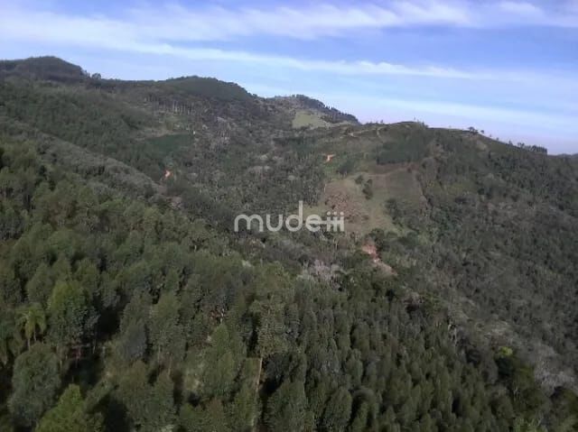 Fazenda, sítio ou chácara 2 quartos à venda em Centro, Campo Magro - foto 8