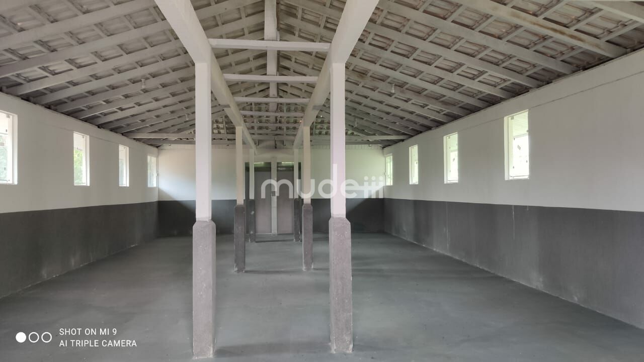 Fazenda, sítio ou chácara 4 quartos à venda em Roça Velha, São José dos Pinhais - foto 9