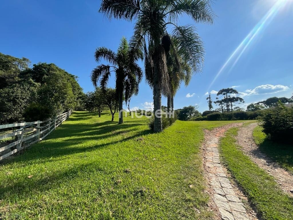 Fazenda, sítio ou chácara 4 quartos à venda em Colônia Mergulhão, São José dos Pinhais - foto 9