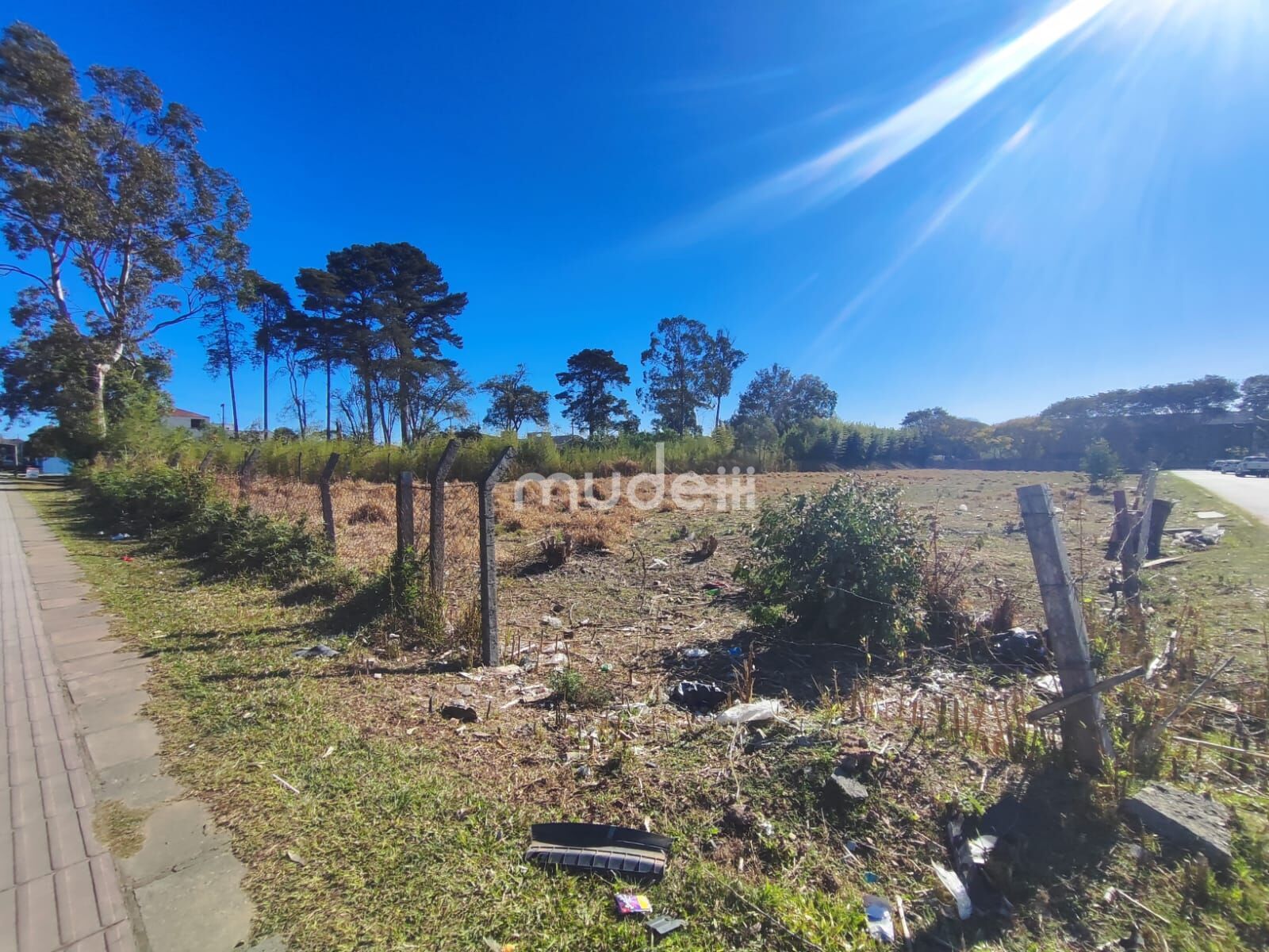 Terreno para alugar em Iná, São José dos Pinhais - foto 9