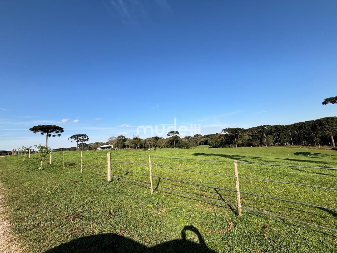Fazenda, sítio ou chácara 4 quartos à venda em Campestre da Faxina, São José dos Pinhais - foto 9