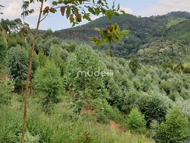 Fazenda, sítio ou chácara 2 quartos à venda em Centro, Campo Magro - foto 10