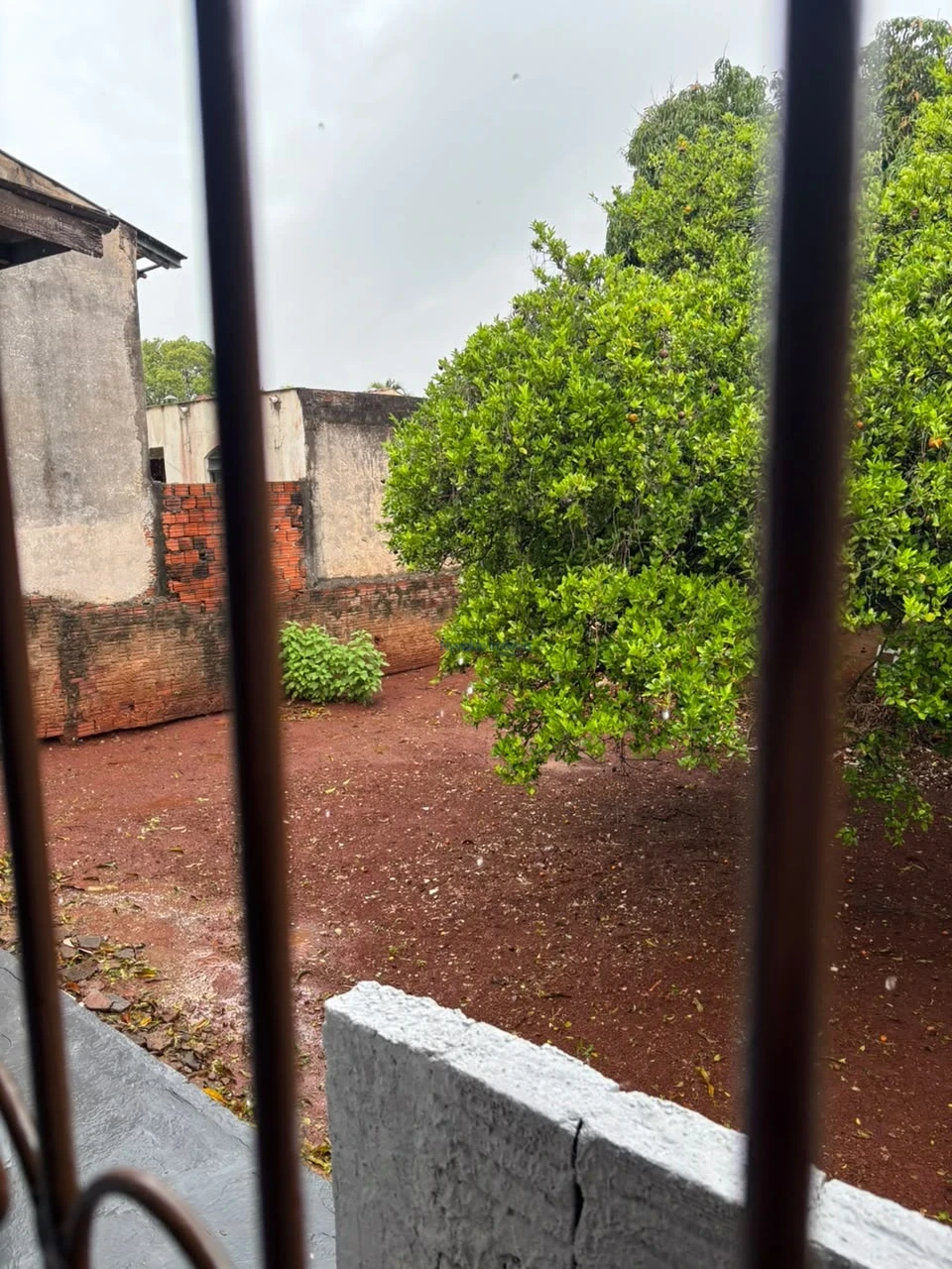 Imagens do imóveis CASA-  (3 dormitórios)RUA CEARA 186