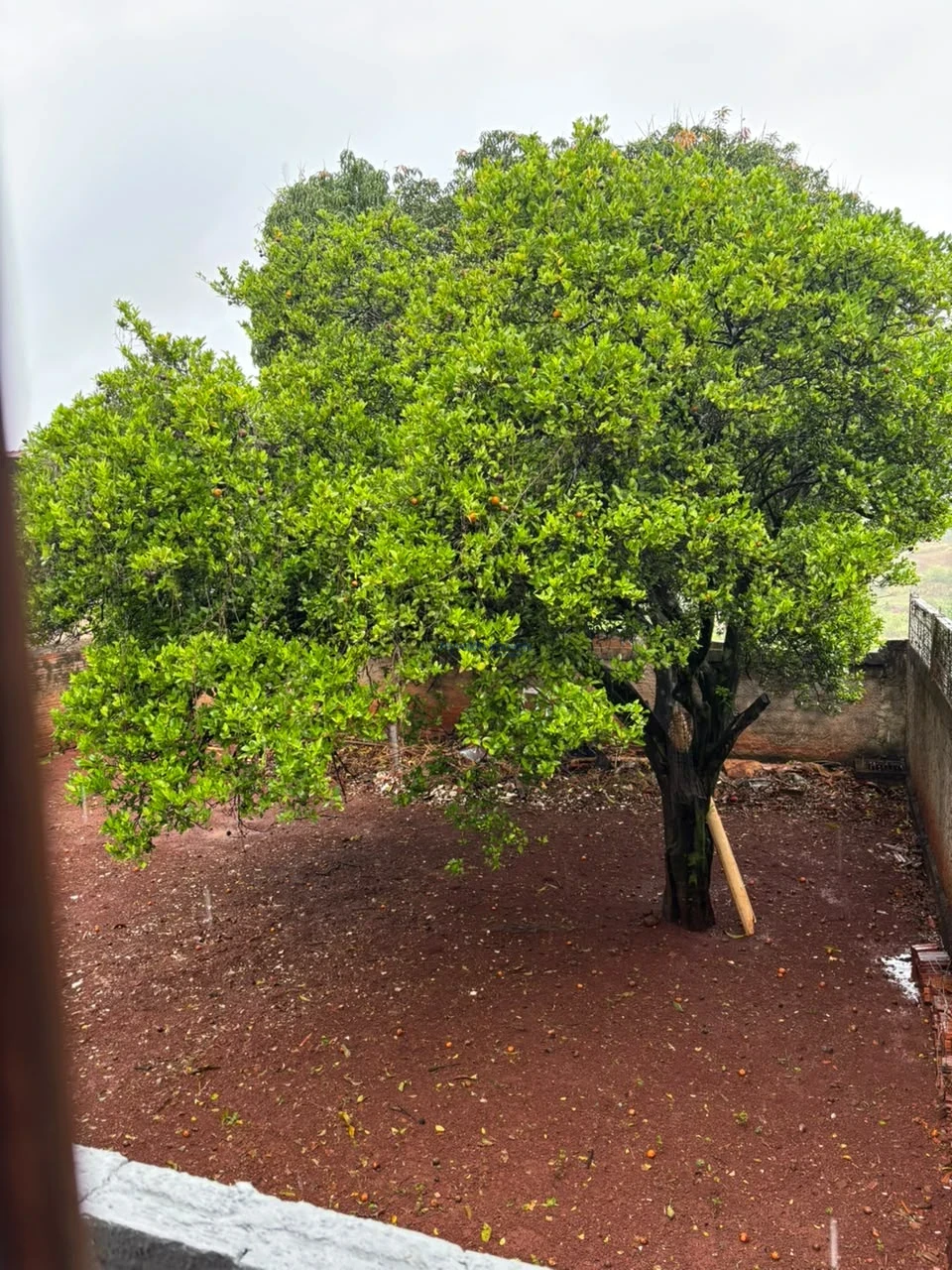 Imagens do imóveis CASA-  (3 dormitórios)RUA CEARA 186