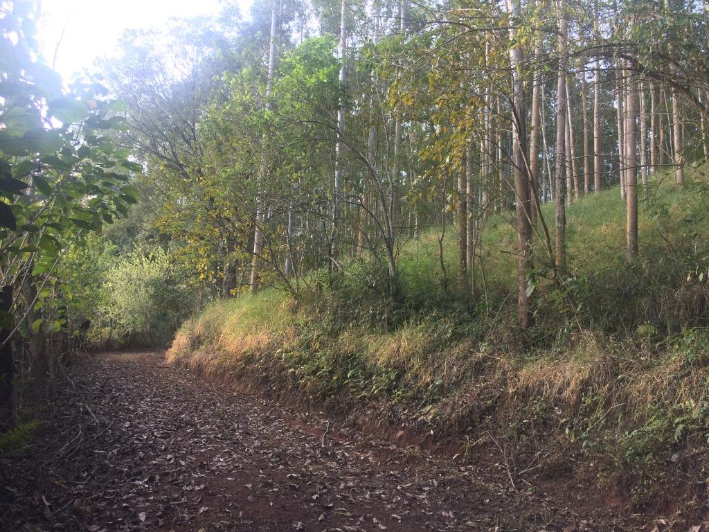 Imagens do imóveis Fazenda/Sítios/Chácaras Chácaras São Miguel