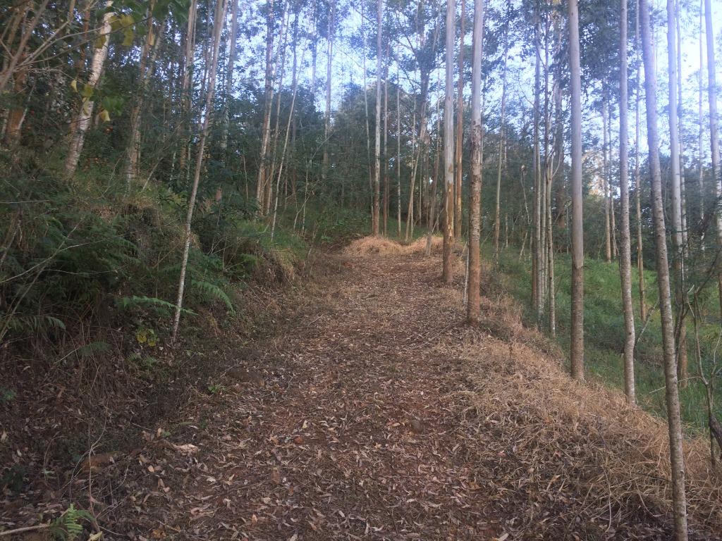Imagens do imóveis Fazenda/Sítios/Chácaras Chácaras São Miguel