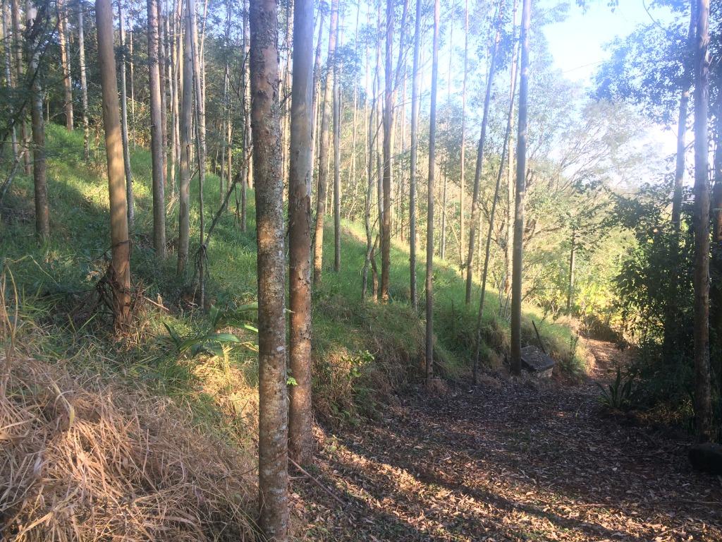 Imagens do imóveis Fazenda/Sítios/Chácaras Chácaras São Miguel