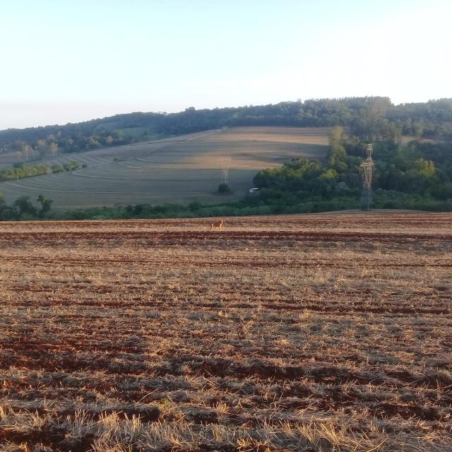 Fazenda/Sítios/Chácaras Recanto do Salto