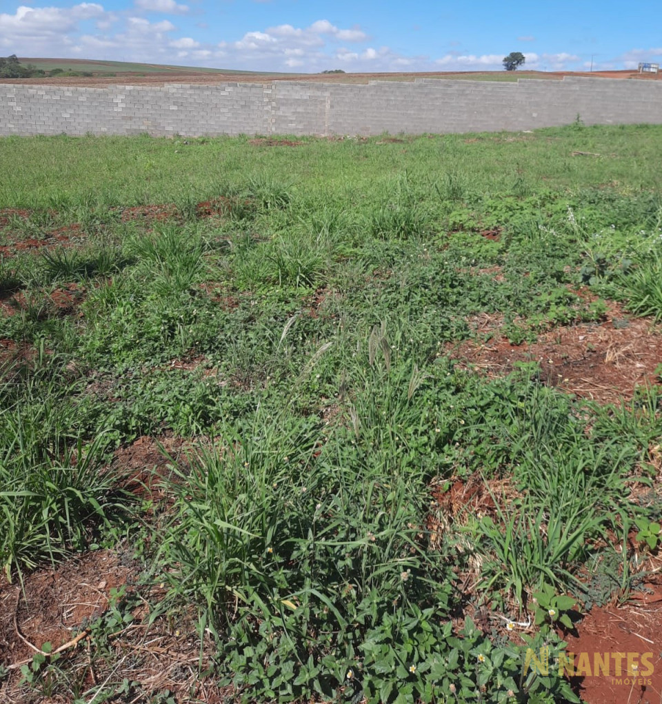 Imagens do imóveis Terreno à venda no Condomínio Imperial - 360 m² R$ 149.000, - Primeiro de Maio/PR