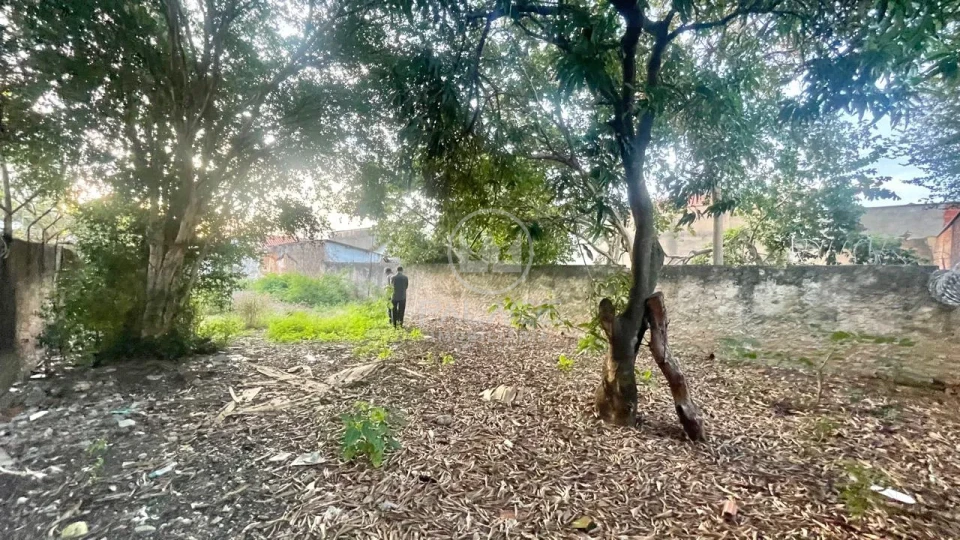 TERRENO 465m² PARA VENDA OU LOCAÇÃO, NA VILA REZENDE