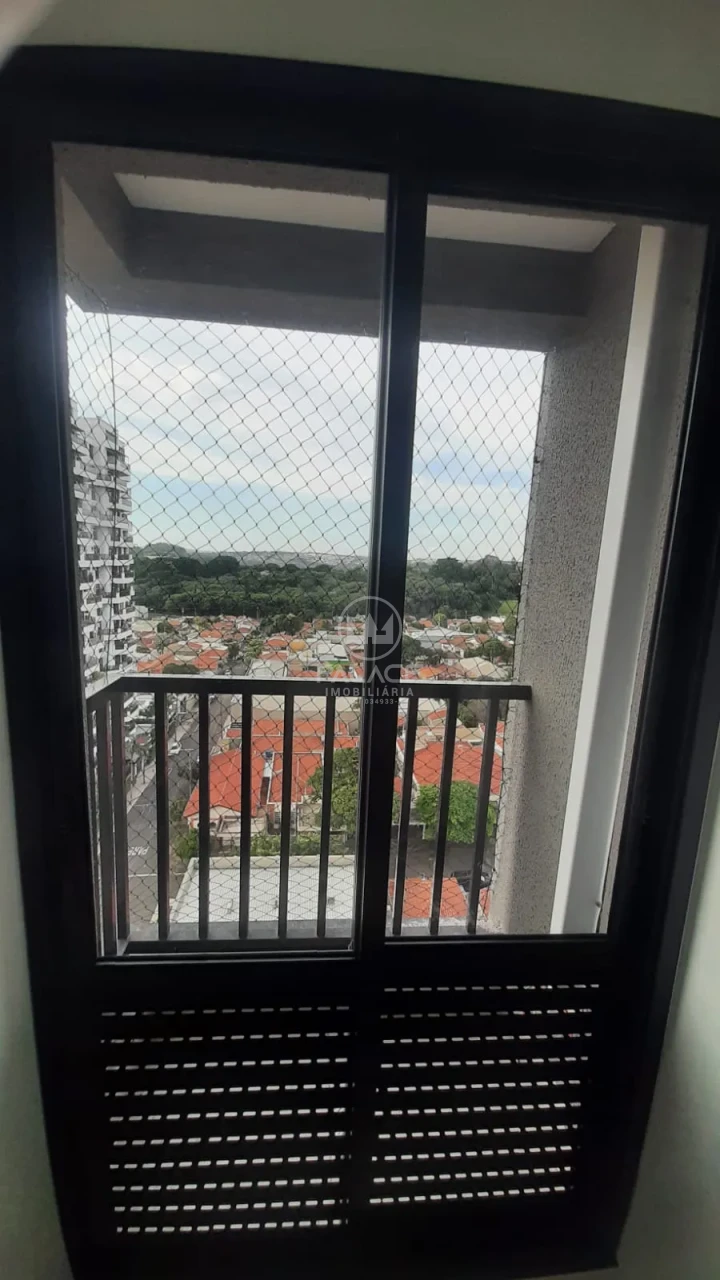 STUDIO / FLET / ED JACARANDA