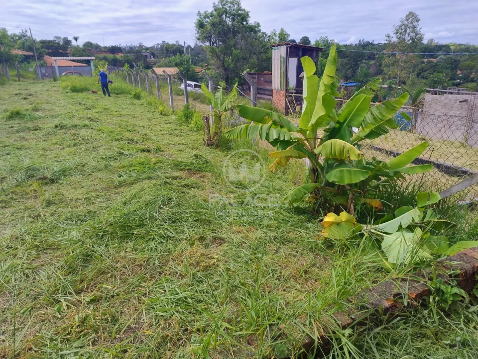 Fazenda/Sítios/Chácaras À Venda Santa Izabel Piracicaba
