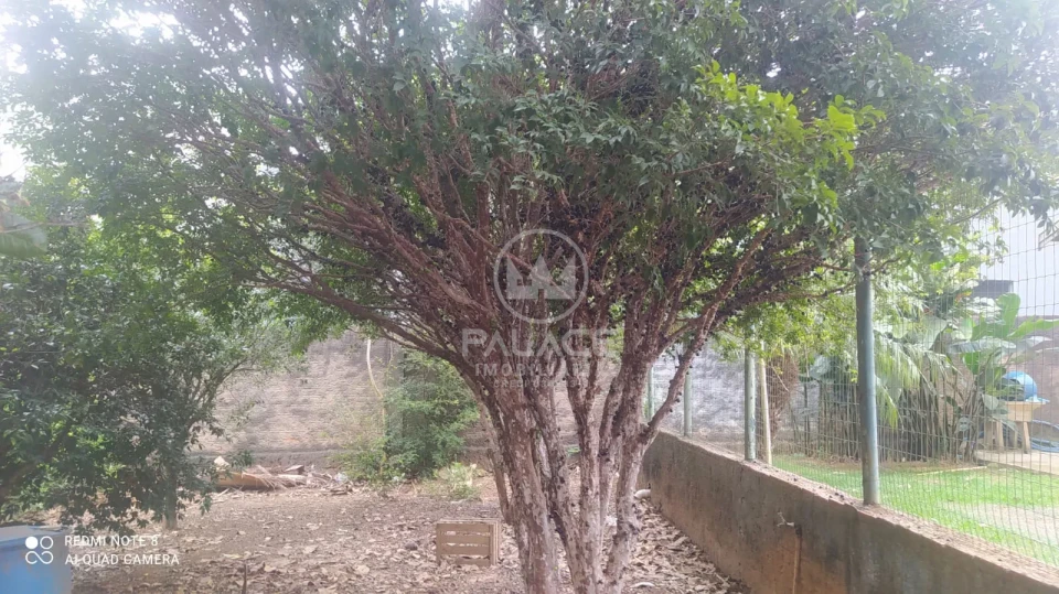 Fazenda/Sítios/Chácaras À Venda  I Saltinho - Foto 30