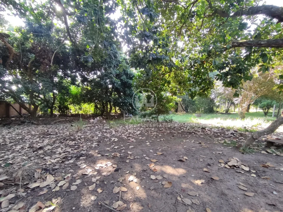 Casa Para Alugar Chácaras Água Branca Piracicaba