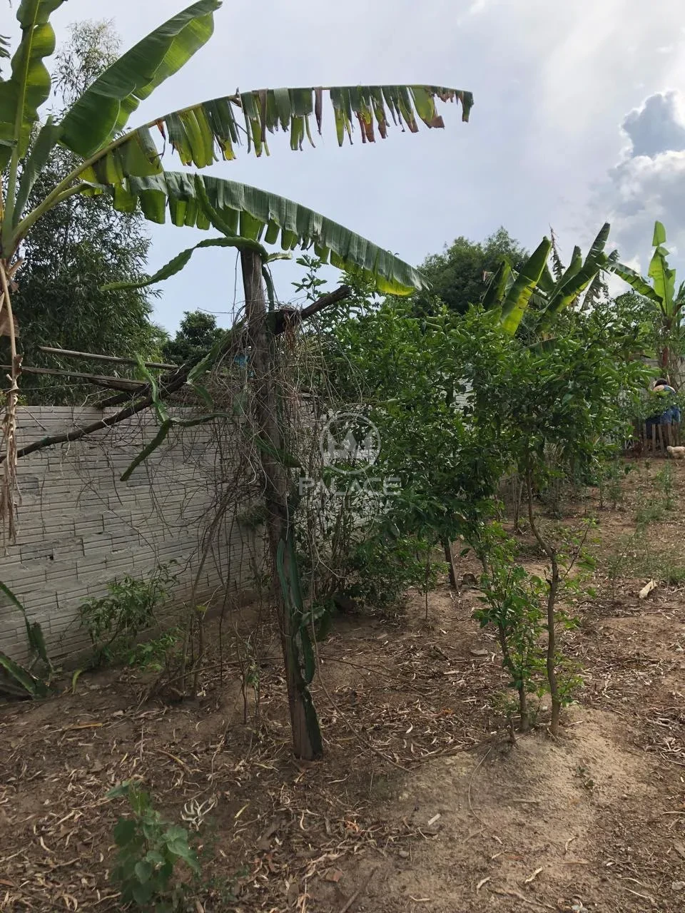 Terreno, 500 m² - Foto 11