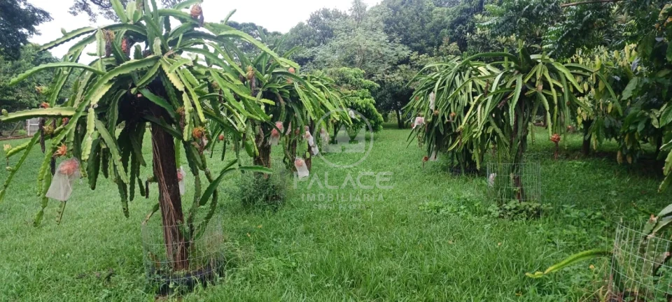 Exuberante Sitio na Piracicaba/Anhumas