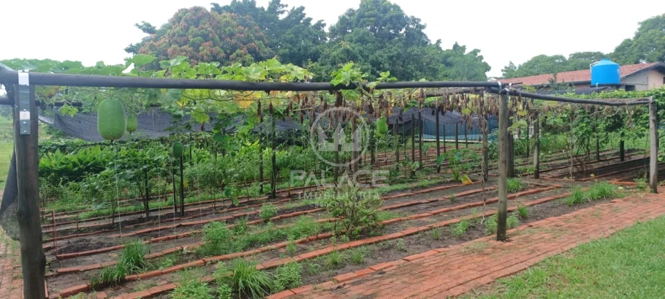 Exuberante Sitio na Piracicaba/Anhumas