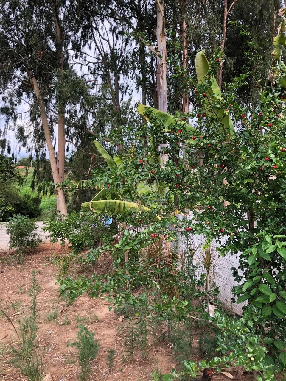 Terreno, 500 m² - Foto 12