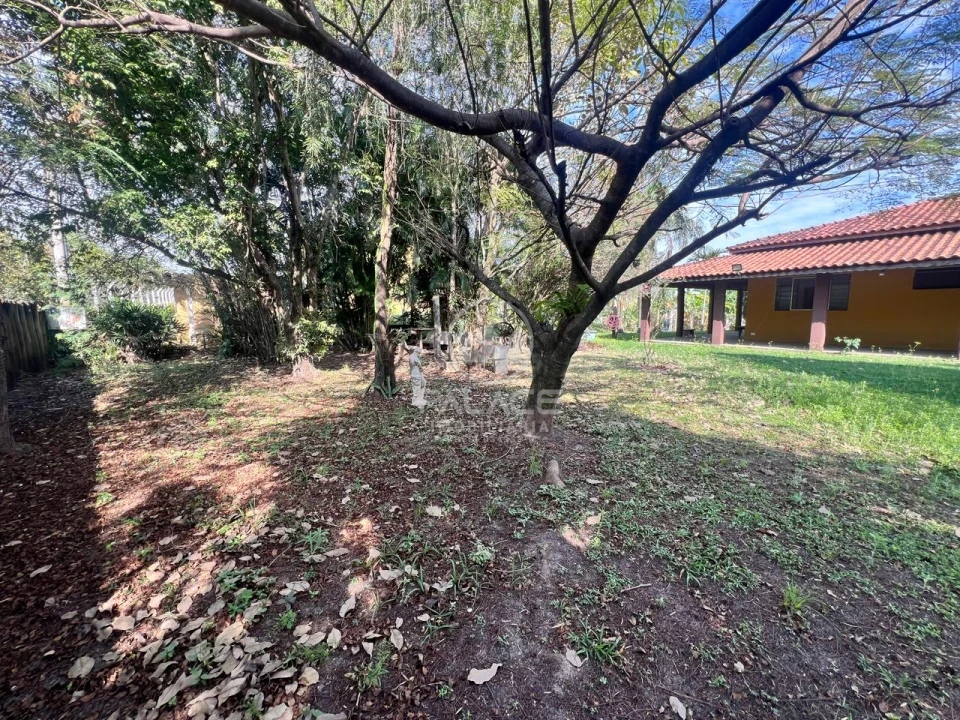 Chácara disponível para locação - Foto 6