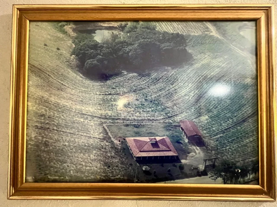 Imóvel residencial e terreno comercial disponível para locação - Foto 28