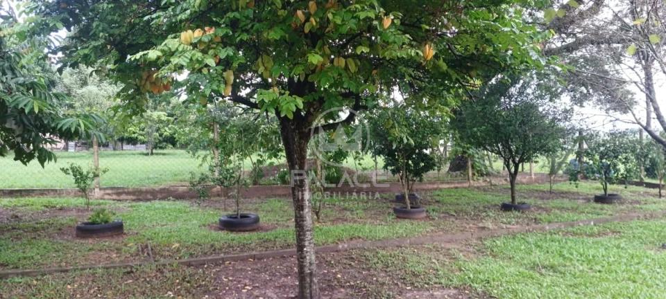 Exuberante Sitio na Piracicaba/Anhumas