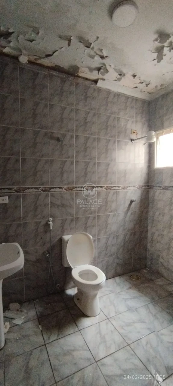 Apartamento Para Alugar Centro Piracicaba