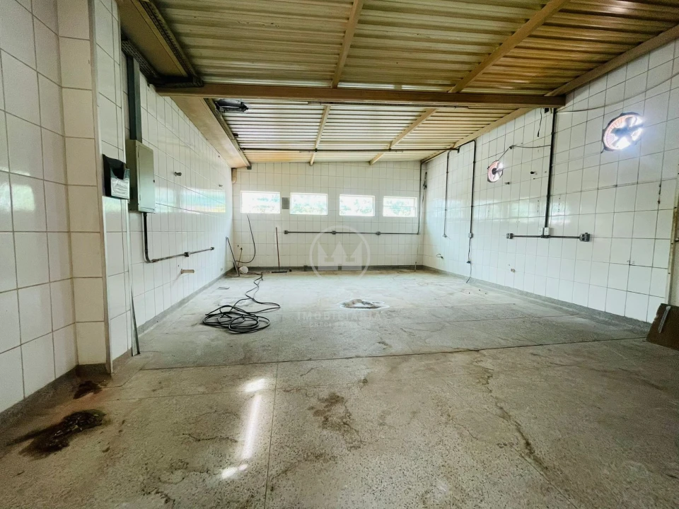 Comercial Para Alugar Alemães Piracicaba