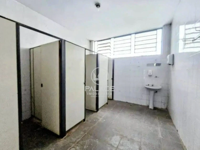 Barracão (Pauliceia)