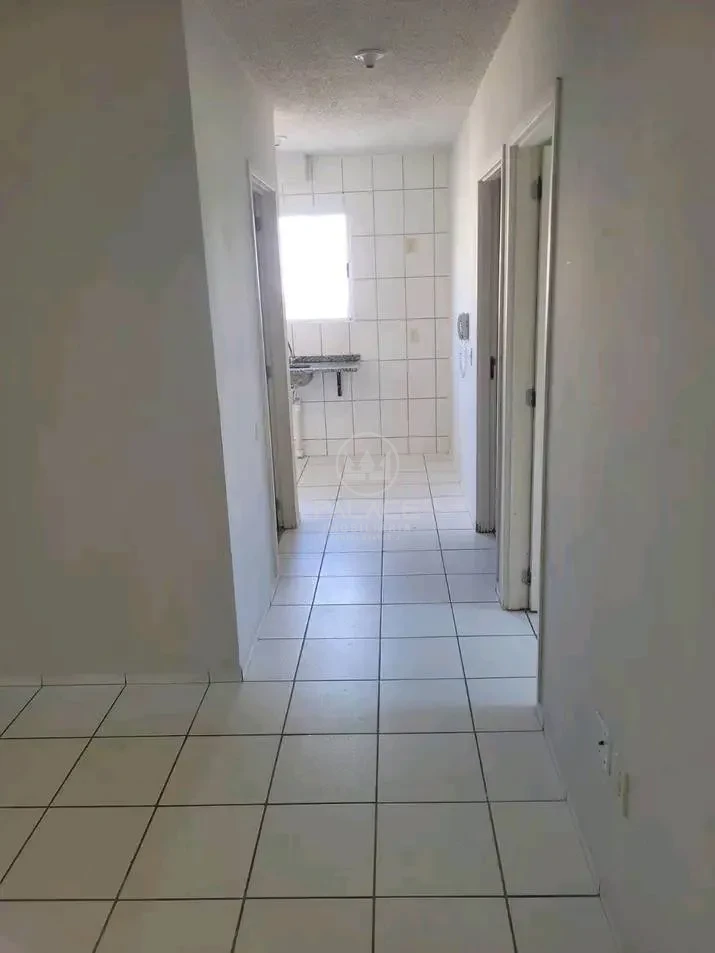 Apartamento : Padrão / Residencial / Vale do Sol