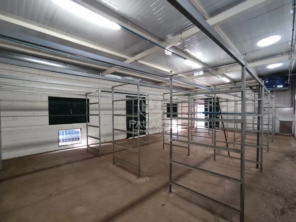 Comercial Para Alugar Centro Piracicaba