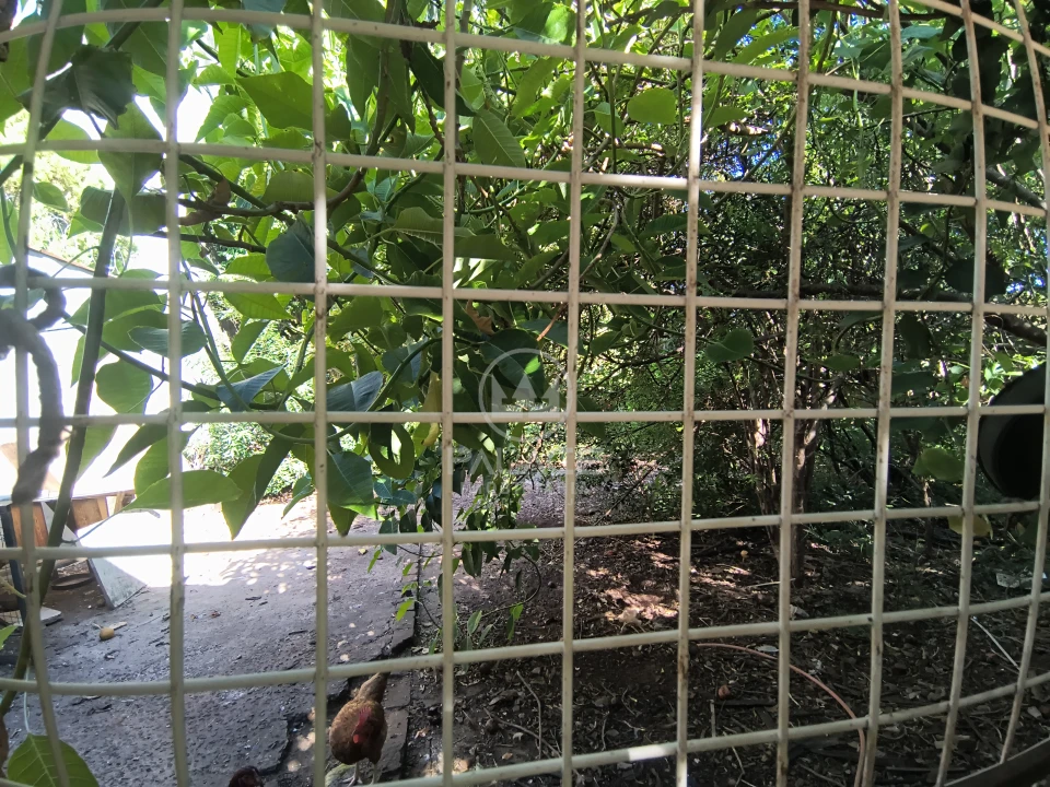 Casa À Venda Paulista Piracicaba