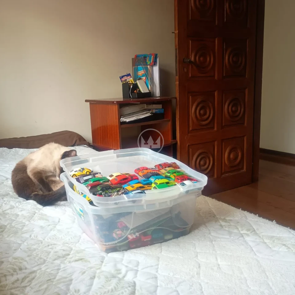 Casa, 4 quartos, 422 m² - Foto 18