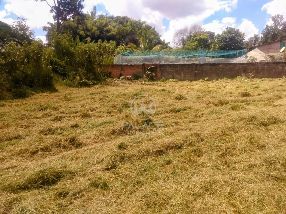 terreno diponivel para locação