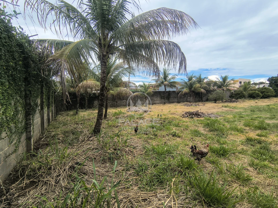 Terreno À Venda Jardim São Pedro São Pedro