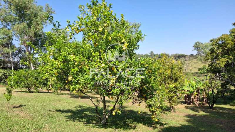 Imagens do imóveis sítio à venda na rodovia samuel de castro neves, nova suiça, piracicaba 4 quartos 62000m²