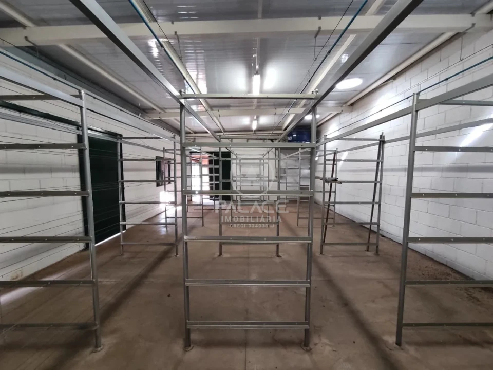 Comercial Para Alugar Centro Piracicaba