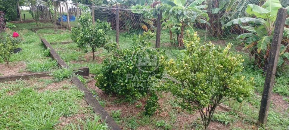 Exuberante Sitio na Piracicaba/Anhumas