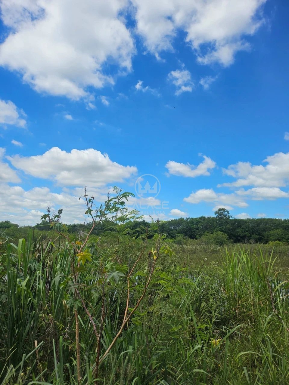 Terreno À Venda Campestre Piracicaba - Foto 6
