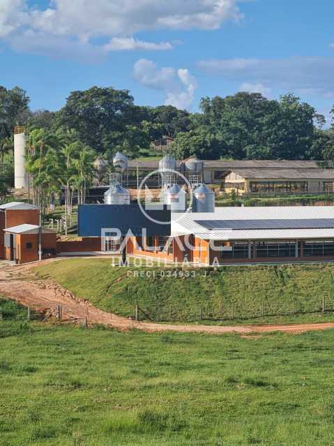 Imagens do imóveis fazenda à venda em zona rural, conchas 60500m²