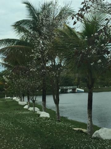 outros à venda em vale do sol, piracicaba 30 quartos 116000m²