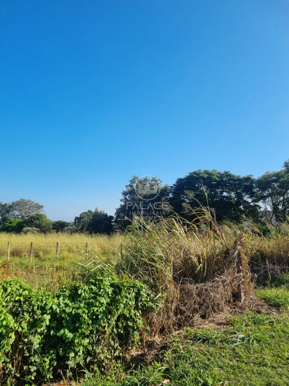 Terreno À Venda Campestre Piracicaba - Foto 4