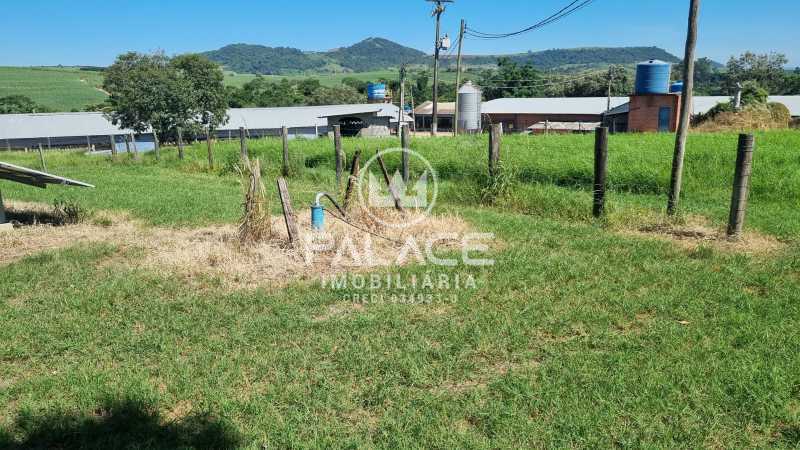 Sítio :  / Rural / Anhumas