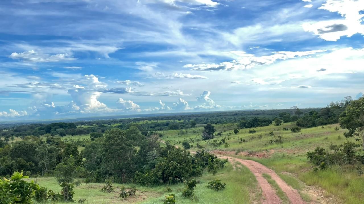 Imagens do imóveis fazenda à venda em zona rural, aliança do tocantins 15720000m²